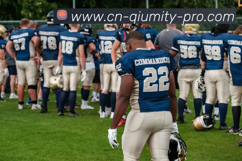 App Interface Preview